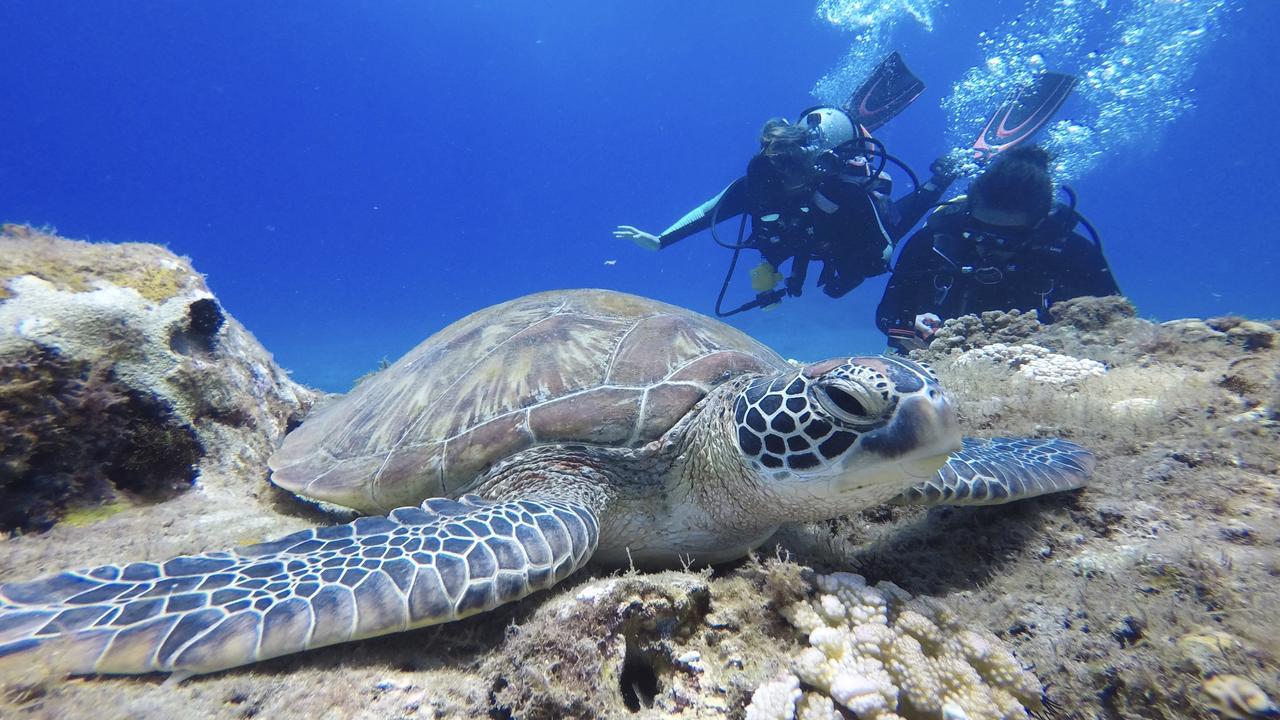 Stay Liuqiu Diving Hostel Xiaoliuqiu Esterno foto